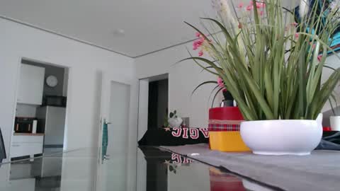 Snapshot of didiegal1 chatting on May 2026 11:28:02 AM squirtcock online show from May 2026 11:28:02 AM