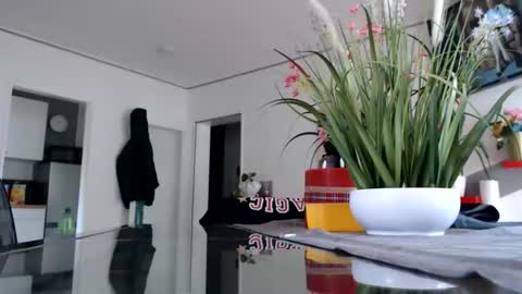 Snapshot of didiegal1 chatting on May 2026 11:50:02 AM squirtcock online show from May 2026 11:50:02 AM