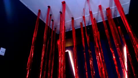 Diego online show from February 2025 05:51:01 PM