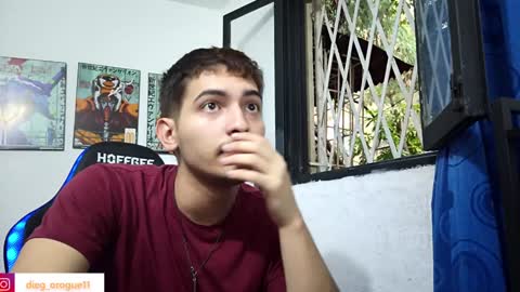 Snapshot of diegorogue_ chatting on February 2025 09:15:01 PM Diego rogue online show from February 2025 09:15:01 PM