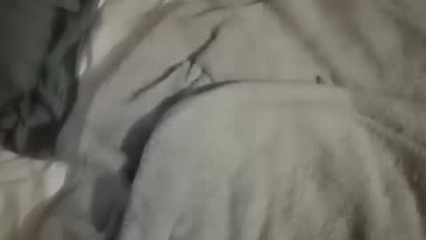 Snapshot of dig_bick_38 chatting on October 2025 04:44:02 AM Daddy online show from October 2025 04:44:02 AM