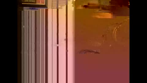 Snapshot of dildosnme22 chatting on January 2025 11:08:02 AM dildosnme22 online show from January 2025 11:08:02 AM