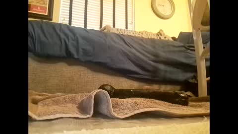 Snapshot of dildosnme22 chatting on March 2025 06:45:01 PM dildosnme22 online show from March 2025 06:45:01 PM