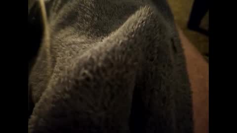 Snapshot of dilf232323 chatting on January 2025 06:35:02 AM Dilf online show from January 2025 06:35:02 AM