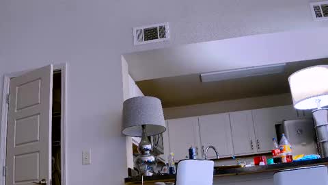 Dilldough405 online show from February 2025 09:56:02 PM