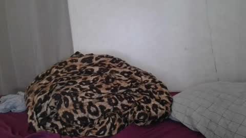 Sofie online show from January 2025 06:31:02 AM