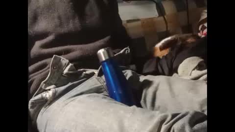 dimoni_ online show from January 2026 03:09:02 AM