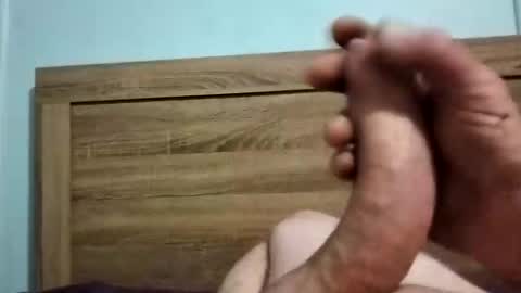 Snapshot of dingo_250 chatting on September 2025 01:38:01 PM dingo_250 online show from September 2025 01:38:01 PM