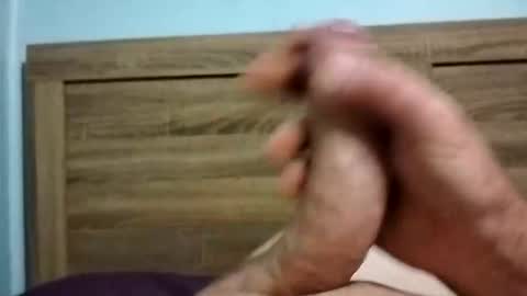 Snapshot of dingo_250 chatting on October 2025 12:35:01 PM dingo_250 online show from October 2025 12:35:01 PM