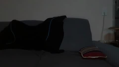 Snapshot of dinnerout1111 chatting on April 2026 11:07:01 PM dinnerout1111 online show from April 2026 11:07:01 PM