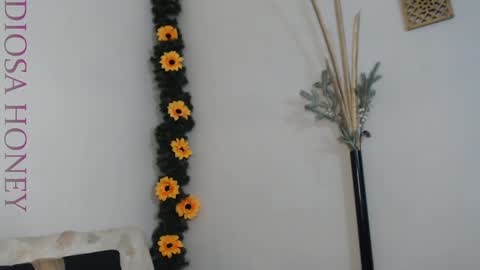 Snapshot of diosa_honey chatting on January 2025 08:46:01 PM Diosa online show from January 2025 08:46:01 PM