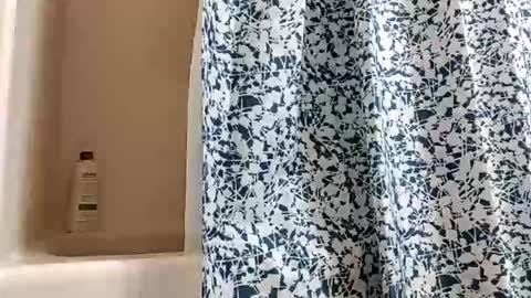 DIPSTIK online show from November 2025 01:15:02 PM