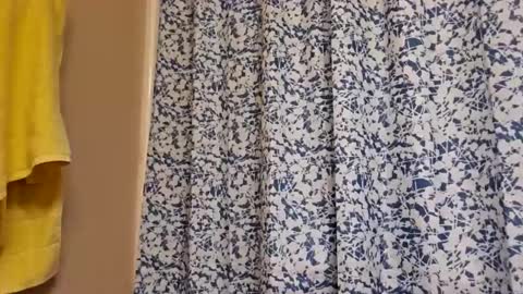 DIPSTIK online show from December 2025 01:05:01 PM