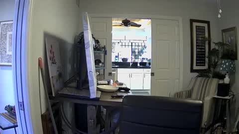 Snapshot of dirkpitt223 chatting on January 2025 07:39:02 PM DirtkPitt Fun guy working online show from January 2025 07:39:02 PM