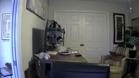 Snapshot of dirkpitt223 chatting on January 2025 06:40:02 PM DirtkPitt Fun guy working online show from January 2025 06:40:02 PM