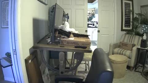 Snapshot of dirkpitt223 chatting on January 2025 07:17:02 PM DirtkPitt Fun guy working online show from January 2025 07:17:02 PM