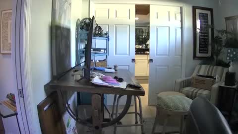 Snapshot of dirkpitt223 chatting on February 2025 06:40:02 PM DirtkPitt Fun guy working online show from February 2025 06:40:02 PM