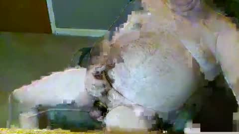 Snapshot of dirtydave52 chatting on March 2026 11:10:01 AM dirtydave52 online show from March 2026 11:10:01 AM