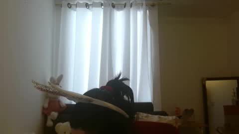 disneey2888 online show from November 2025 08:19:02 PM