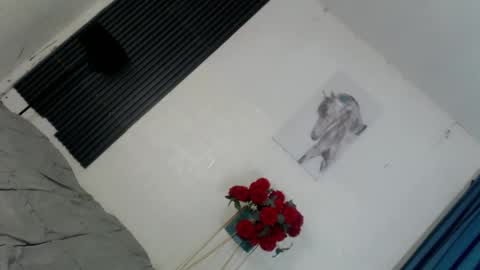 Kataluna online show from March 2026 05:33:02 AM