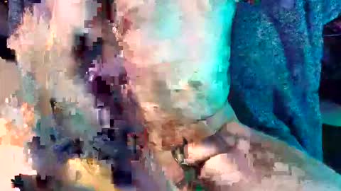 Snapshot of divinemindsalign chatting on April 2026 12:52:02 AM divinemindsalign online show from April 2026 12:52:02 AM