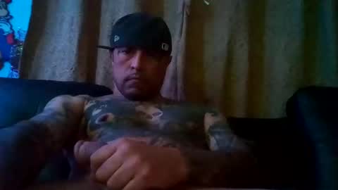 dixienormes online show from December 2024 11:09:02 AM