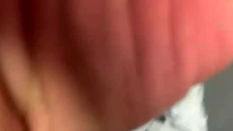 dixkzilla online show from May 2026 10:59:02 PM