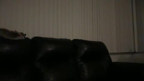 Snapshot of dj_chaterbate chatting on March 2026 06:36:01 AM DJ Chaterbate online show from March 2026 06:36:01 AM