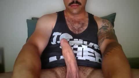 Snapshot of dk420mwa chatting on February 2026 06:50:01 AM dk420mwa online show from February 2026 06:50:01 AM