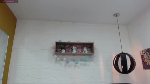 Snapshot of dmitrisanders1 chatting on February 2025 11:49:01 PM Maybe in pvt online show from February 2025 11:49:01 PM