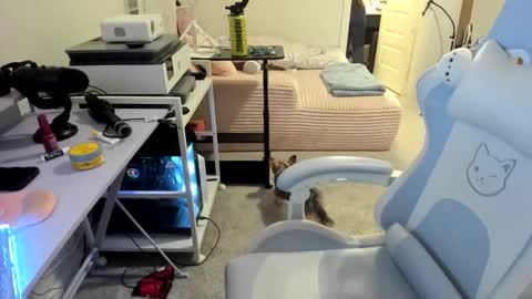 Snapshot of dolllface chatting on March 2026 01:53:02 AM DOLLLFACE online show from March 2026 01:53:02 AM