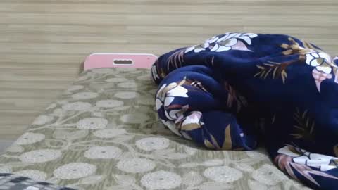 dolly_2 online show from February 2025 10:04:01 AM