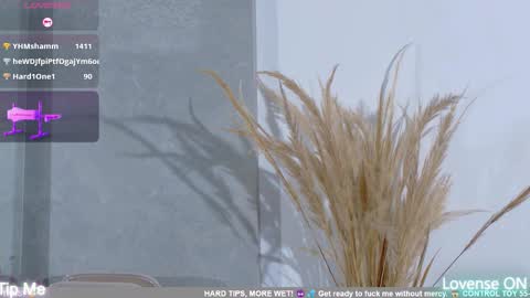 Snapshot of dolly_brownc chatting on February 2026 10:35:01 PM dolly_brownc online show from February 2026 10:35:01 PM