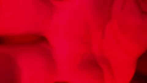 Alzest online show from November 2025 02:06:02 AM