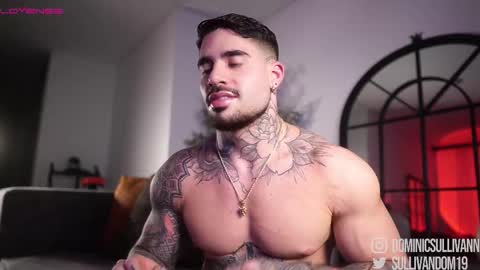 Dominic Sullivan online show from February 2026 03:23:01 AM