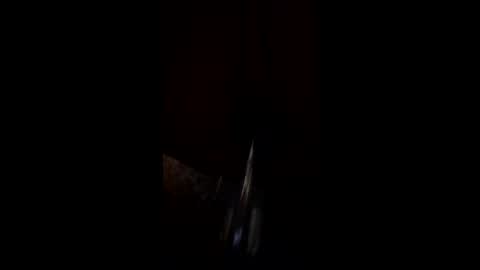 don996882242 online show from May 2026 11:06:02 AM