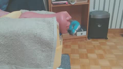 Don online show from March 2026 05:57:02 PM