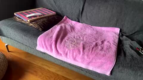 Alfredo online show from February 2026 10:55:02 AM