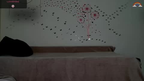 Dona online show from January 2025 02:36:01 PM