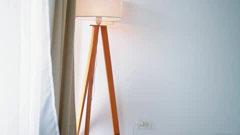 Donatella online show from January 2026 11:37:02 AM