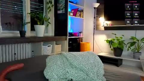 Snapshot of dorfmatratze_ chatting on July 2026 04:31:02 PM Alice online show from July 2026 04:31:02 PM