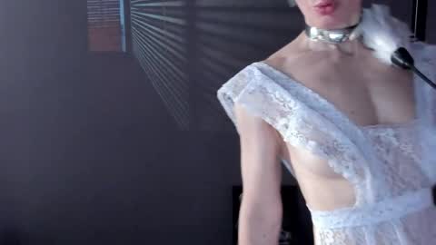 Dorothy Next stream on Monday at 3am-9am online show from April 2026 09:04:01 PM