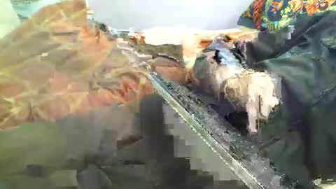 Snapshot of dorsetbiker714 chatting on April 2026 12:20:02 PM Hello welcome to Slutsville I am the Naked Chef really but you may call me Peter online show from April 2026 12:20:02 PM