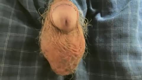 Snapshot of dotstir chatting on June 2026 05:17:02 PM dotstir online show from June 2026 05:17:02 PM