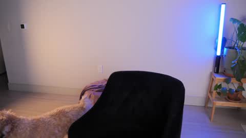 Snapshot of doubedeesarai chatting on October 2025 02:36:02 AM Sara online show from October 2025 02:36:02 AM