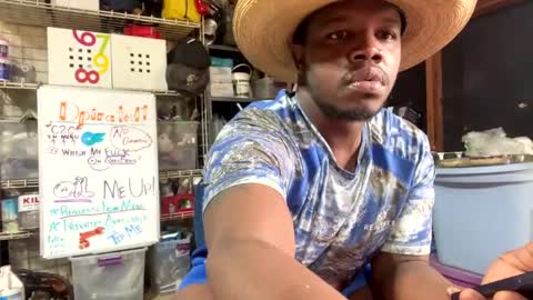 MrPirated online show from February 2025 04:43:02 PM