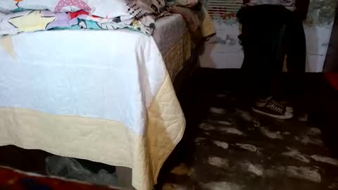 dreamreal online show from November 2025 11:20:01 AM