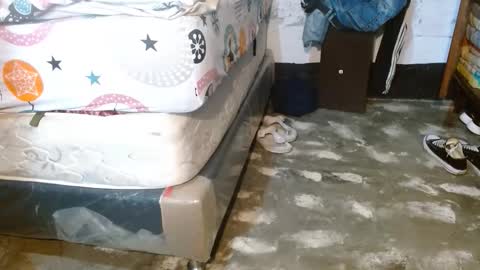 dreamreal online show from March 2026 10:37:01 AM