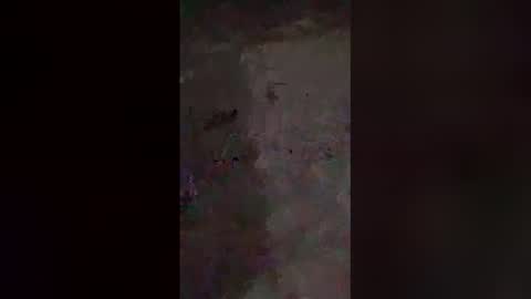 Snapshot of dreamerdick101 chatting on December 2025 12:01:02 PM dreamerdick101 online show from December 2025 12:01:02 PM