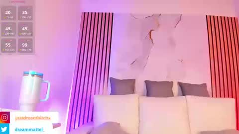 Snapshot of dreammatell_ chatting on March 2026 04:19:01 AM Dream Matell online show from March 2026 04:19:01 AM